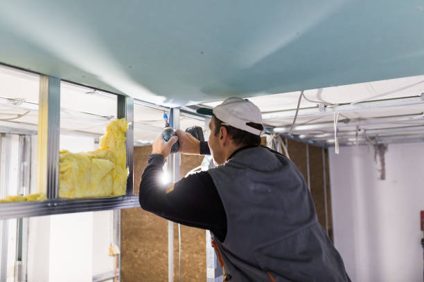 Best Fiberglass Insulation in Algonac, MI