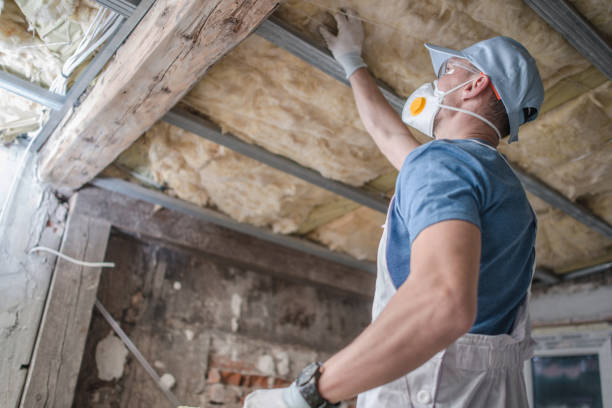 Best Insulation for Specific Applications in Algonac, MI