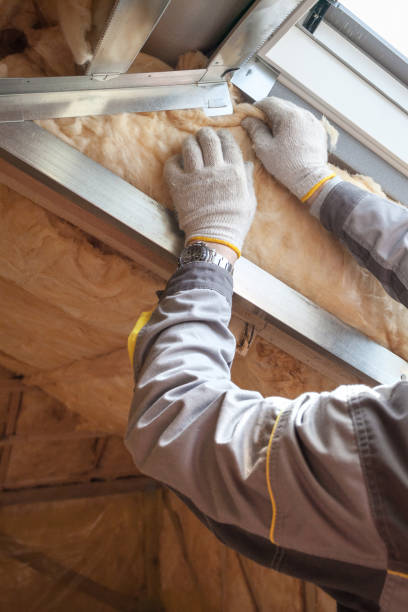 Best Insulation Maintenance and Repair in Algonac, MI